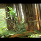 Illustration for article titled The Art Of iUncharted 4/i